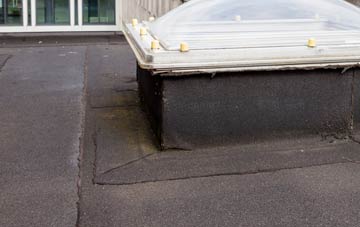 disadvantages of Lower Whitehall flat roofs