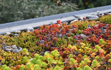 the cost of Lower Whitehall green roof installation
