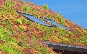 Lower Whitehall living roof systems
