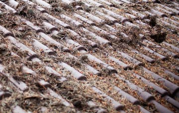 Lower Whitehall roof cleaning companies